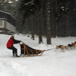 Psí spřežení, Podkrkonoší, Krkonoše