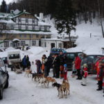 Psí spřežení, Podkrkonoší, Krkonoše