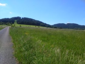 Polní cesta k hotelu - Dolní Brusnice (v pozadí Zvičina)