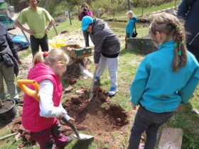 Sázení stromů - děti ZŠ Dvůr Králové nad Labem