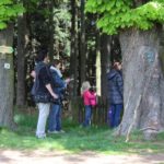 Questing, Hora kaplí, vod a draků aneb Hledačka pod Zvičinou